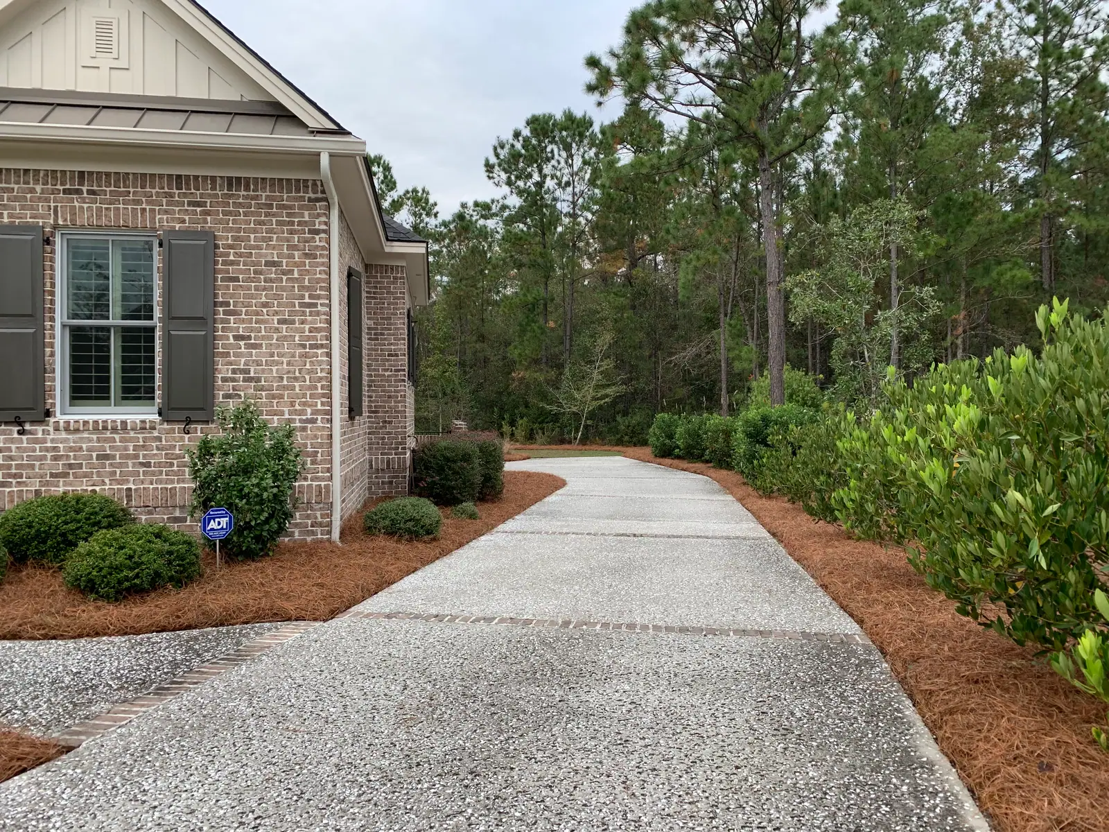 Newly installed pinestraw on a residential landscape in Columbia, SC